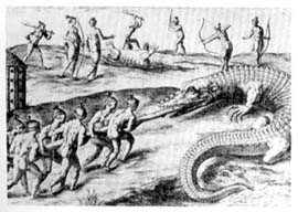 TimicuanAlligator1.jpg